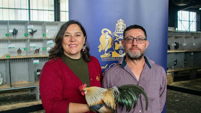 Royal Canberra Poultry Show Winners of the Royal Canberra Poultry Show