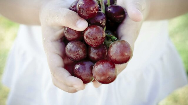 Granitevale Winery Granitevale Winery