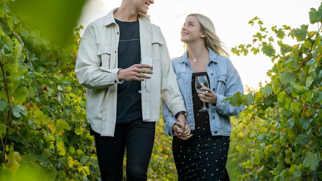 Vineyard Walk Vines walk at Mount Majura