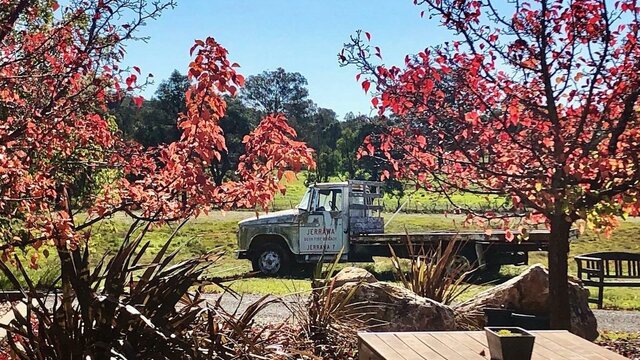 Autumn colours from the Cellar Door courtyard Autumn at Tallagandra Hill