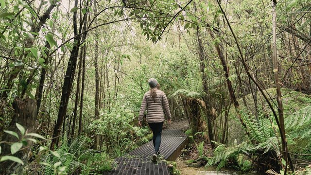 Tidbinbilla Cascade Trail | © We Are Explorers Image of a woman in a light puffer jacket and hat walking the Cascade Trail through trees in Tidbinbilla Nature Reserve. | © We Are Explorers
