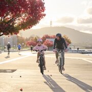 Father and daughter on bikes with autumn leaves in the background