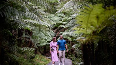 Couple walking along path surrounded by large, green ferns.