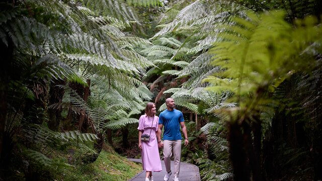 Couple walking along path surrounded by large, green ferns.