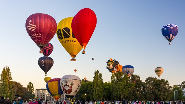 Various shapes and sizes of hot air balloons near the grounds with people watching the balloons