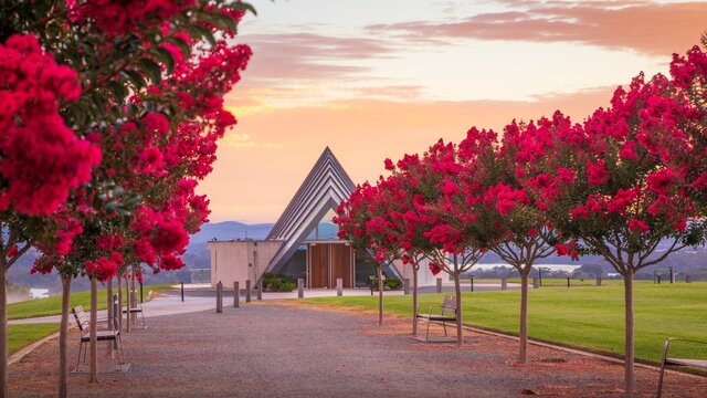 Bright red autumn leaves on trees in a neat line