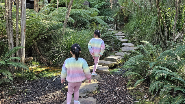 Chlidren play at the National Botanic Gardens' nature playground