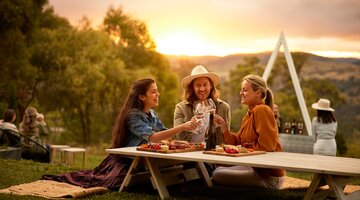Three friends clinking glasses over share platters at a winery.