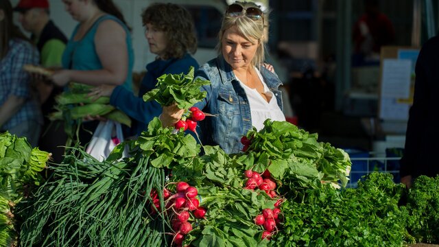 A woman in a demin jacket buying fresh radishes.