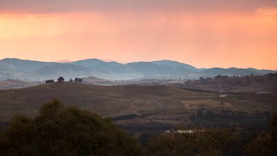 An aerial view of the National Arboretum and its surrounds during either sunrise or sunset.