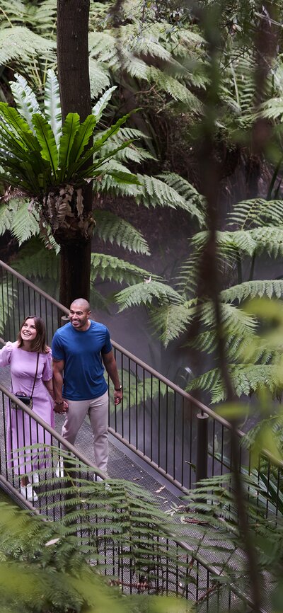 Australian National Botanic Gardens Mist, Ferns, and Natural Beauty | © Pew Pew Studio Image of the fern rainforest boardwalk at the Australian National Botanic Gardens, a couple smiling and holding hands, while walking and looking up. | © Pew Pew Studio