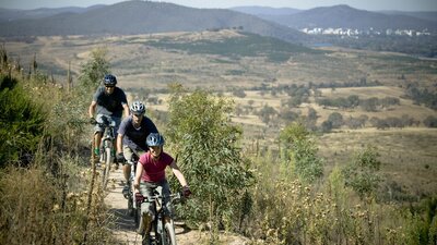 Three friends riding mountain bikes with Telstra Tower and parks in the background.