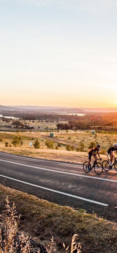 Two friends road cycling with greenery from the Arboretum in the background.