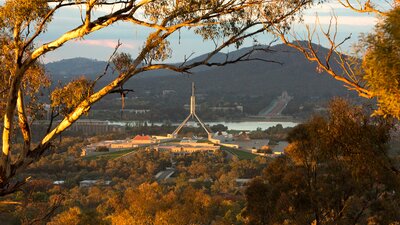 A view of Parliament House through a canopy of trees and bush.