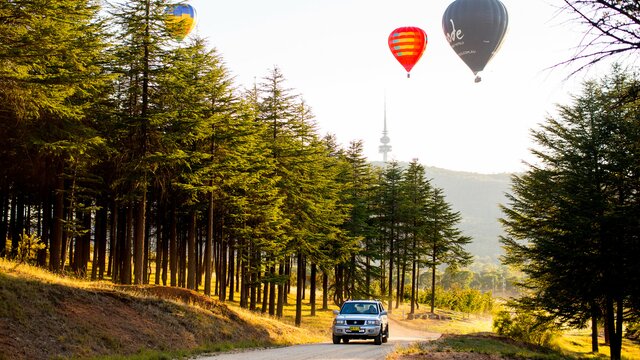 A car is travelling through a forest with hot air balloons floating in the distance,