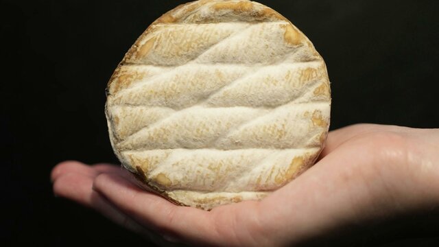 Long Paddock Cheese Driftwood Driftwood