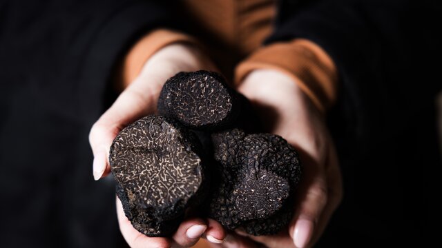 Two hands holding many truffles