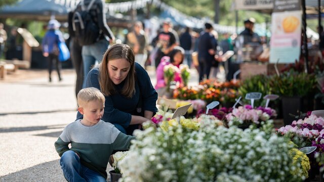 Haig park village market at Braddon